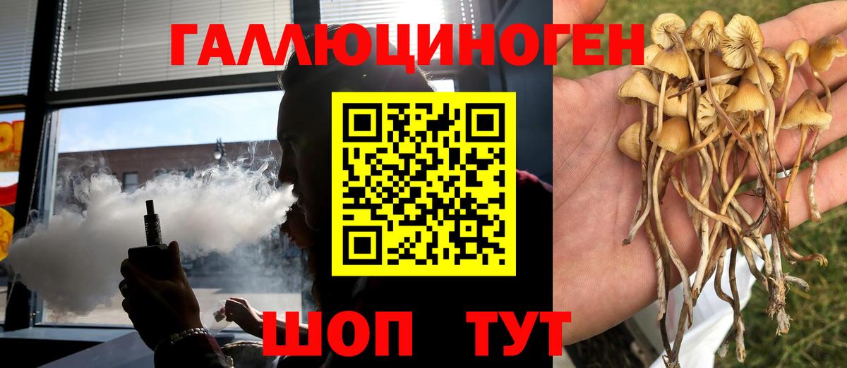 Галлюциногенные грибы прущие грибы  Галлюциногенные грибы прущие грибы  Вход с VPN  Чайковский 